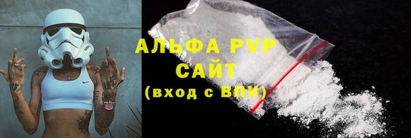 индика Арсеньев