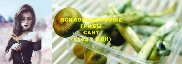 индика Арсеньев