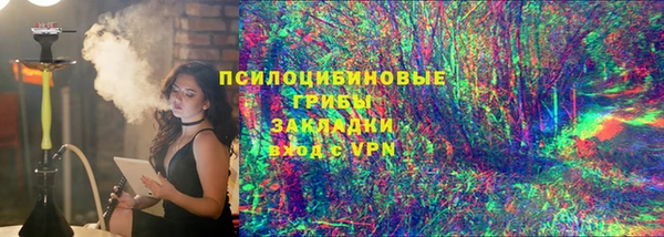 индика Арсеньев