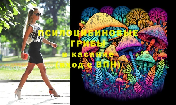 индика Арсеньев