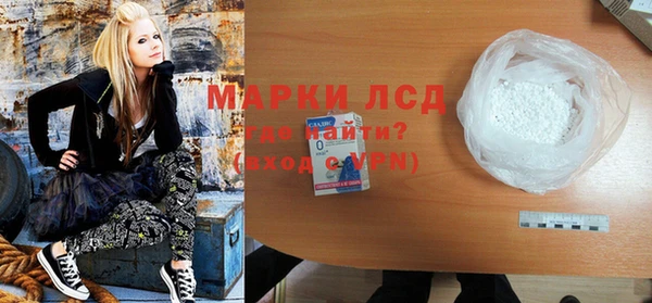 индика Арсеньев