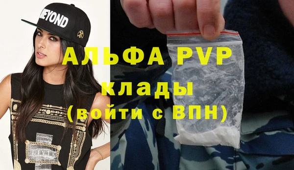 индика Арсеньев