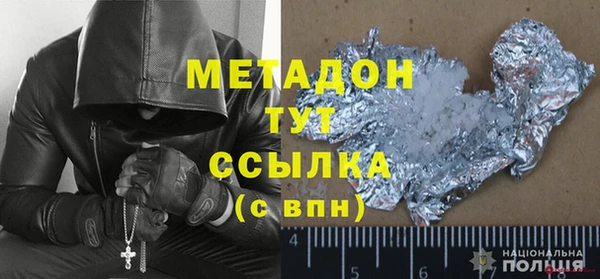 индика Арсеньев
